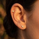 Foto Modelo Realista