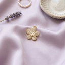 Foto Flatlay Boutique