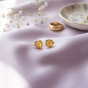 Foto Flatlay Boutique