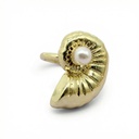 Anillo Chapa de oro 18K · AN-855
