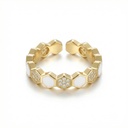 Anillo Chapa de oro 18K · AN-843