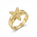 Anillo Chapa de oro 18K · AN-837