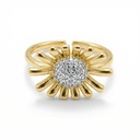 Anillo Chapa de oro 18K · AN-828