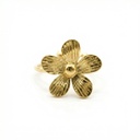 Anillo · AN-081