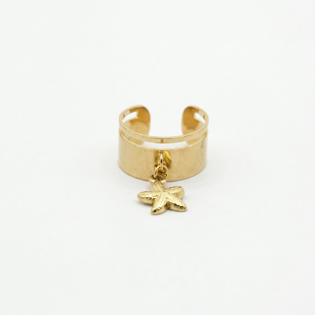 Anillo Acero inoxidable 304 · AN-762