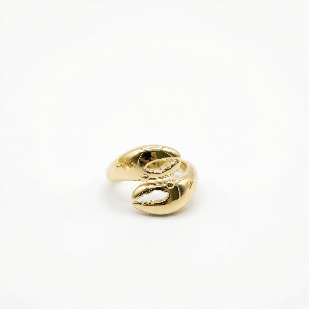 Anillo Chapa de oro 18K · AN-668