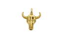 Dije Chapa de oro 18K · DI-258