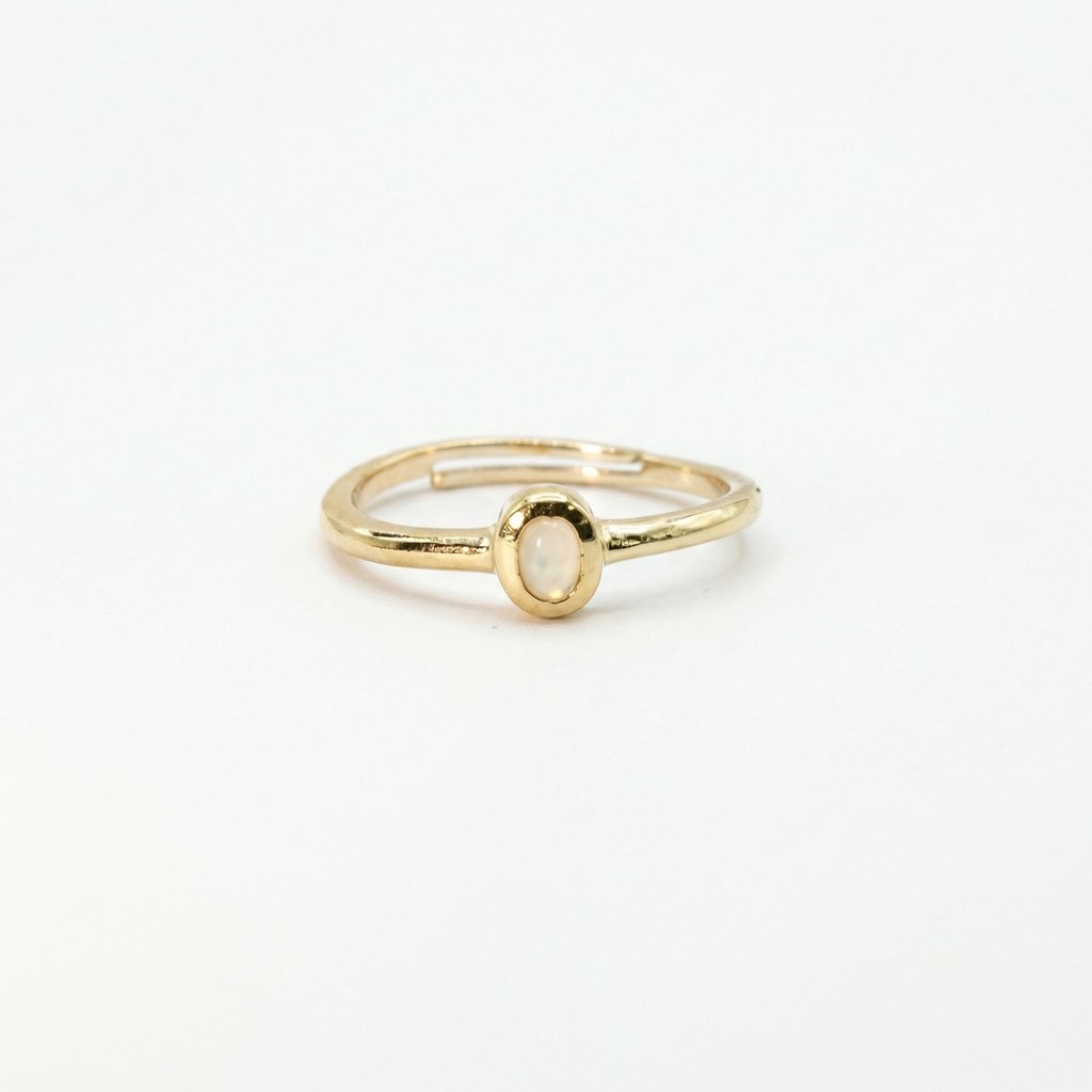 Anillo Chapa reforzada · AN-625