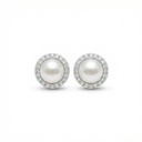 Arete · AR-505