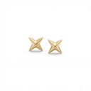 Arete Chapa reforzada · AR-504