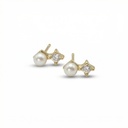 Arete · AR-055