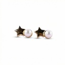 Arete · AR-463