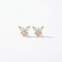 Arete Chapa reforzada · AR-036