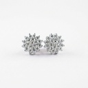 Arete · AR-447