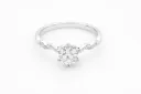 Anillo Chapa de oro 18K · AN-380