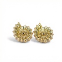 Arete · AR-428