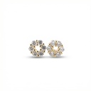 Arete Chapa de oro 18K · AR-321