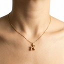 Collar · C-102