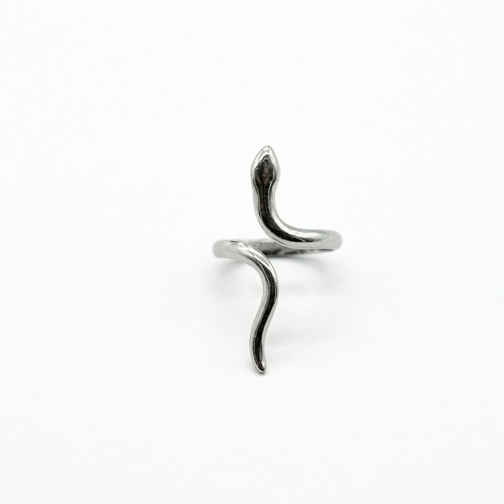 [AN-1053] Anillo · AN-1053
