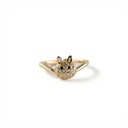 Anillo Chapa de oro 18K · AN-286