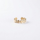 Anillo Acero inoxidable 304 · AN-244