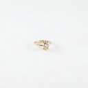 Anillo Chapa reforzada · AN-239