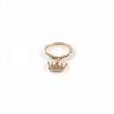 Anillo Chapa reforzada · AN-253