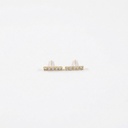 Arete · AR-250