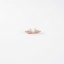 Arete · AR-239