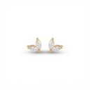 Arete · AR-041