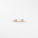 Arete · AR-110
