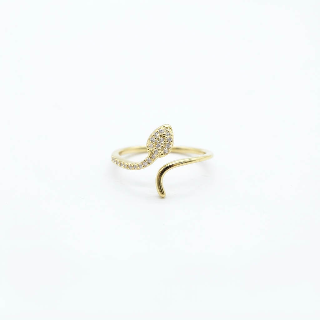 AN-556