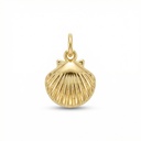 Dije Chapa de oro 18K · DI-301