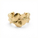 Anillo · AN-899